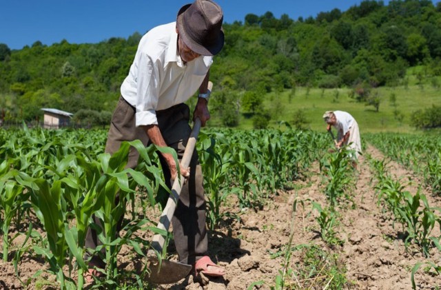 Juiz reconhece que moradia concedida sem custo a empregada rural  salrio-utilidade