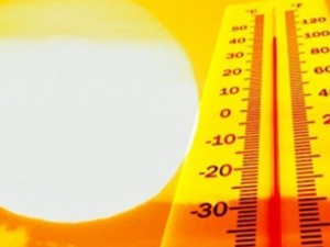 Trabalhador rural tem direito a intervalos para se recuperar de exposio ao calor